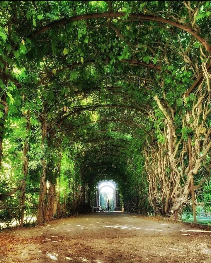 Luxe View Schoenbrunn Suite Wien Österreich