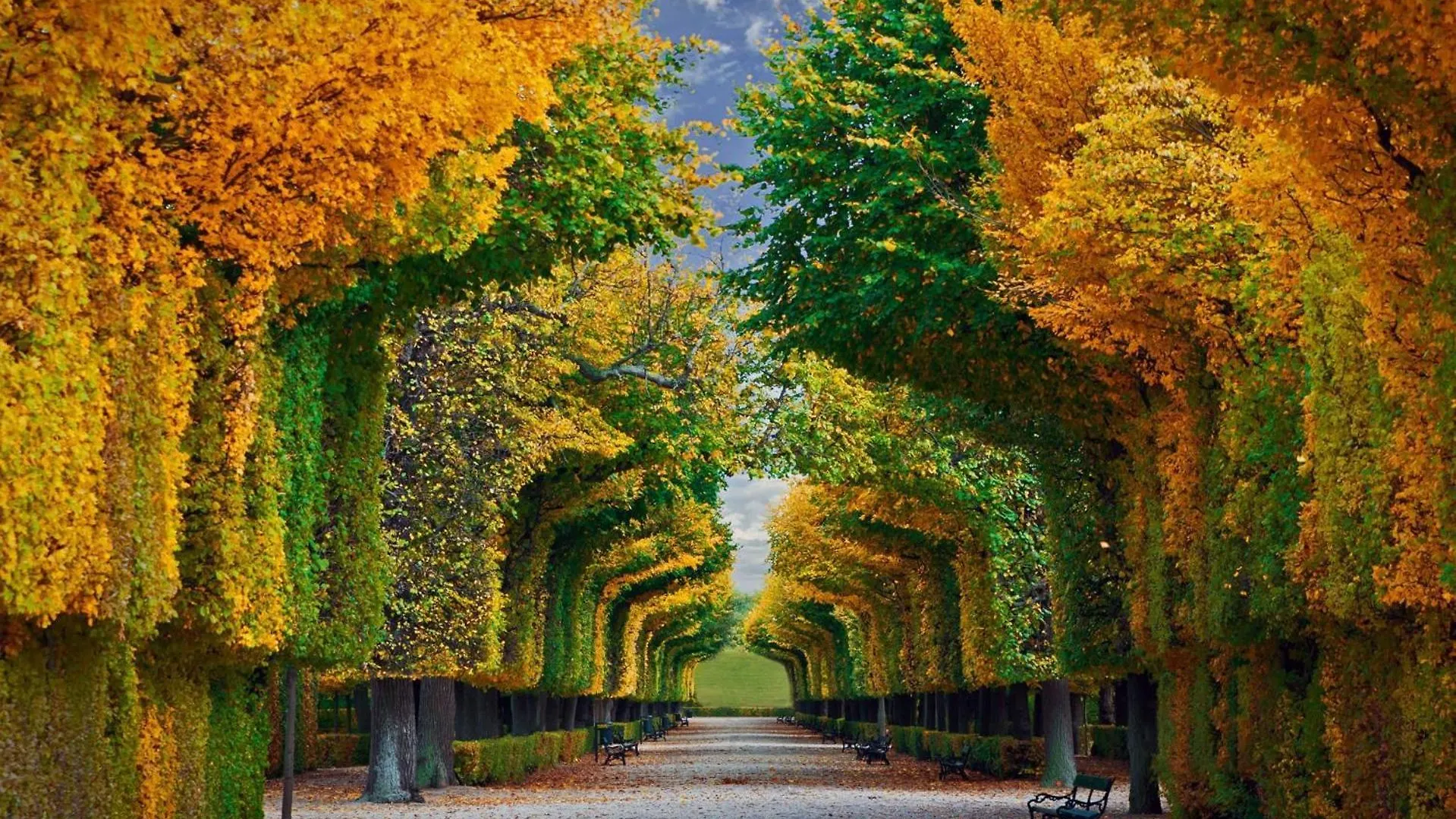 Luxe View Schoenbrunn Suite 비엔나 0*,  오스트리아